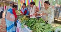 खजुराको कृषी नीति, उत्पादनदेखी बजारीकरणसम्म