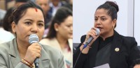 संसद्‌मा कांग्रेसका दुई सांसदको एउटै भाषण