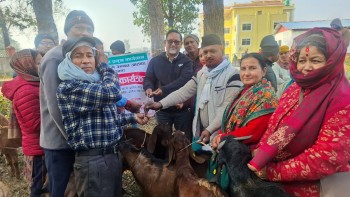 बैजनाथका किसानलाई उन्नत जातका बोका वितरण 