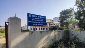 धान खरिद गर्न खाद्यको ढिलाइ, ब्यापारीलाई सस्तोमा बेच्दै किसान
