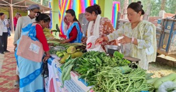 खजुराको कृषी नीति, उत्पादनदेखी बजारीकरणसम्म