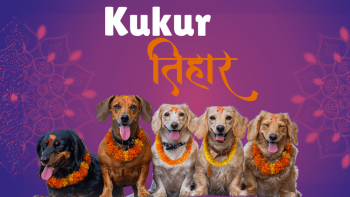 लक्ष्मी पूजा र कुकुर तिहार मनाइँदै