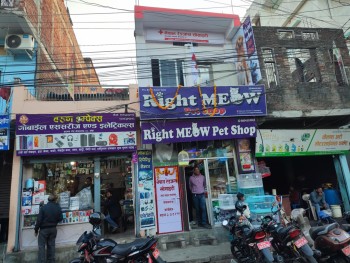 रेडक्रस सदरलाईन उपशाखा आफ्नै भवनबाट सञ्चालन