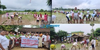 बाँकेमा मनाइयो राष्ट्रिय धान दिवस 