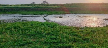 सार्वजनिक पोखरीमा कुनै संरचना नबनाउन अदालतको आदेश 