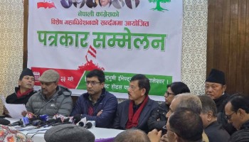 कांग्रेस विशेष महाधिवेशन व्यवस्थापनका लागि १८ वटा उपसमिति गठन