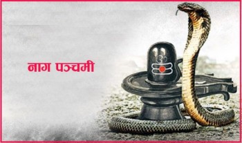 आज नागपञ्चमी, नागको पुजा आराधना गरी मनाइँदै