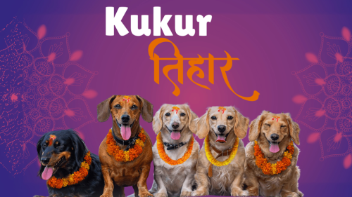 लक्ष्मी पूजा र कुकुर तिहार मनाइँदै