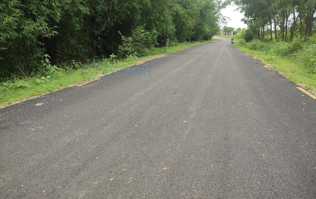 Baijanath-Road-1753854021.jpg