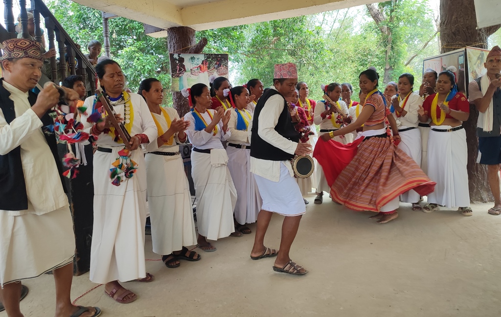 Namuna-Tharu-Gaau-Ghosana-Photo-4-1779285615.jpg