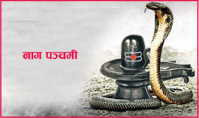 आज नागपञ्चमी, नागको पुजा आराधना गरी मनाइँदै